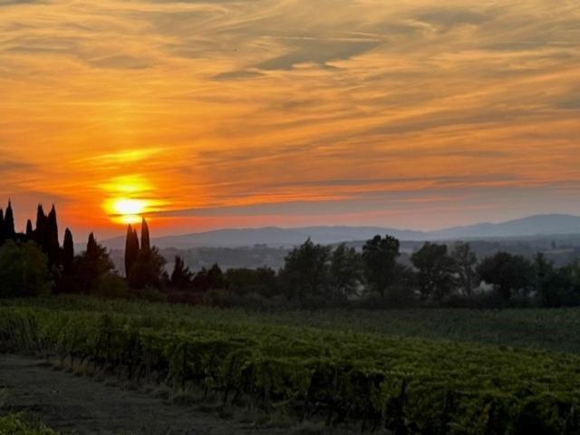 Podere Borgaruccio Peccioli Eksteriør bilde