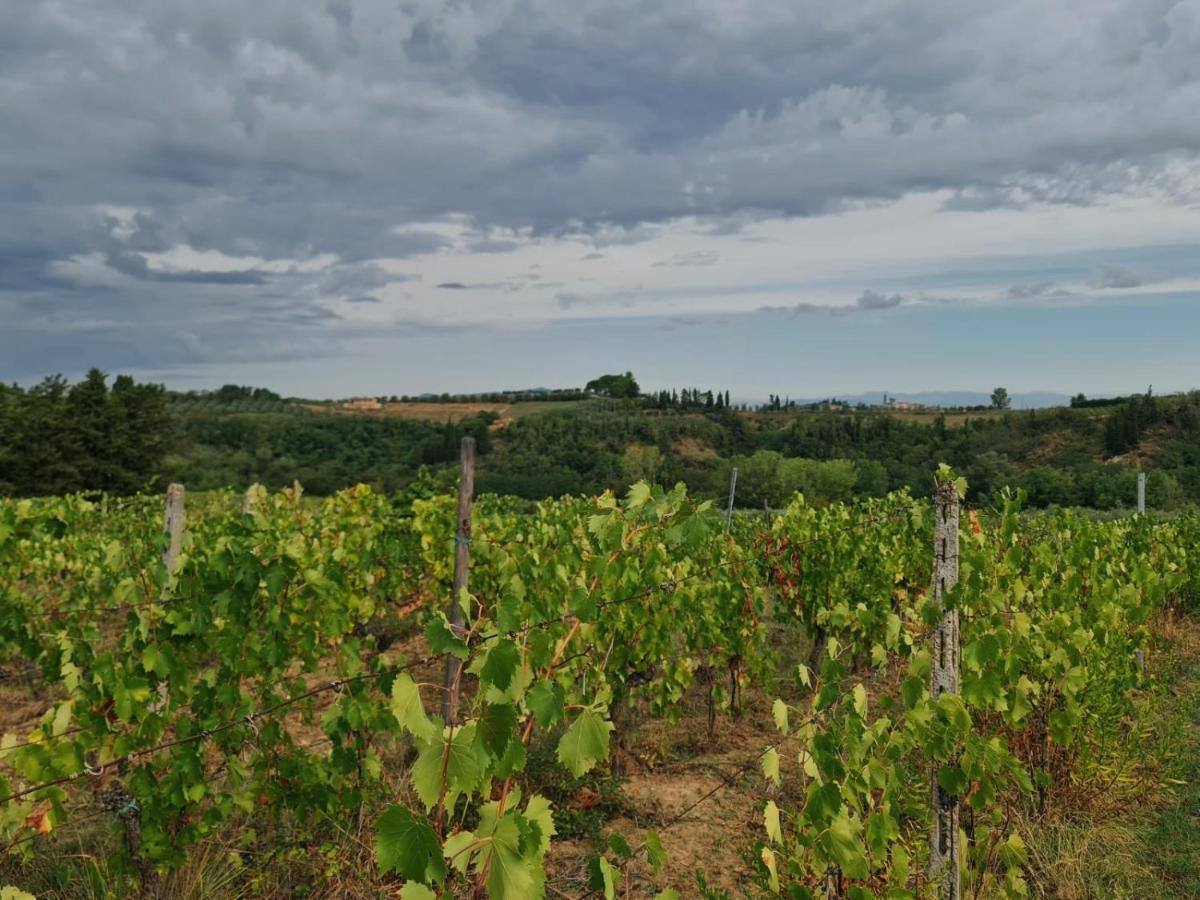 Podere Borgaruccio Peccioli Eksteriør bilde
