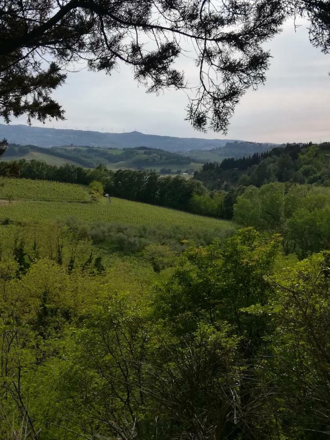Podere Borgaruccio Peccioli Eksteriør bilde